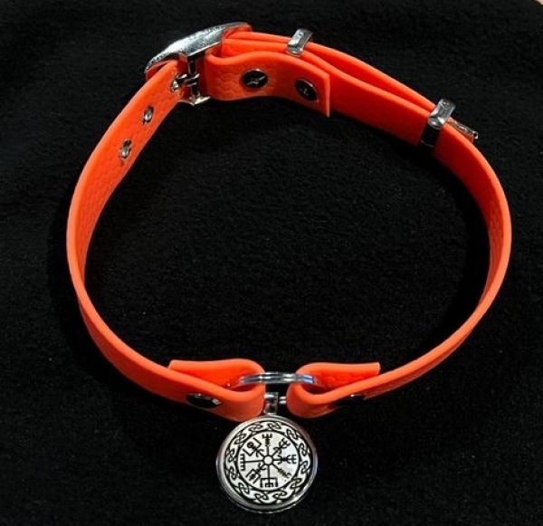 Hundehalsband - Biothane - orange - Vegvisir