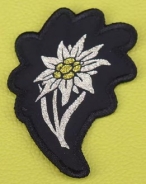 Aufnäher - Edelweiß Aufnäher - Edelweiß