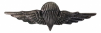Pin - BW Fallschirmspringerabzeichen